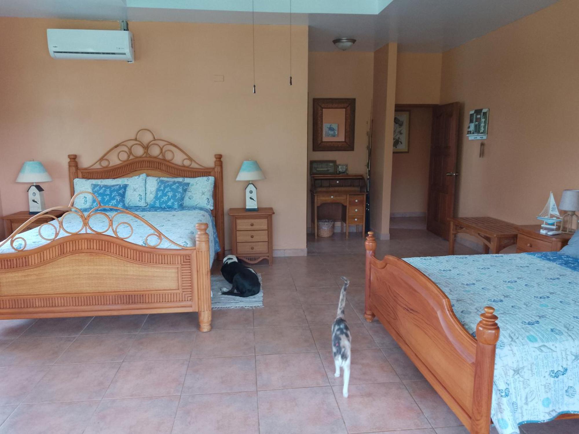 Gone Fishing Panama Resort Boca Chica Ngoại thất bức ảnh